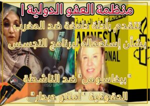 العفو,الدولية,بيغاسو,أمنتو,حيدار,حقوق,الإنسان,الصحراء,الغربية